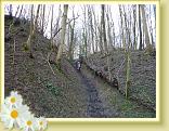 Cassel_Reco (14)